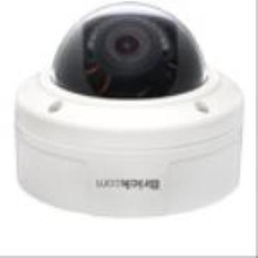 Brickcom VD-300Np Dome Camera