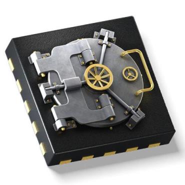 Silicon Secure Vault technology