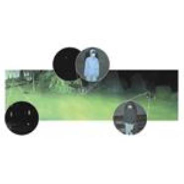 Raytec Panoramic Lighting