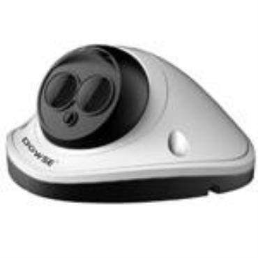 Dowse Full Function Mini IP Dome 