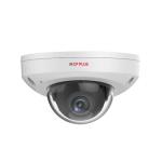 CP Plus CP-VNC-V21R4C-VMDS 2MP WDR Array Network Vandal Dome Camera - 40Mtr.