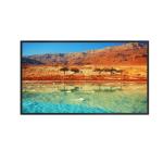Dahua LM65-S400 65'' UHD LED Monitor