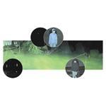 Raytec Panoramic Lighting