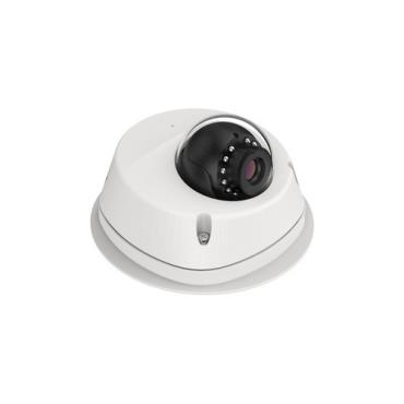 Raysharp 2MP/4MP/5MP Mini Dome HD IPC