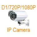 FaceID IP Camera D1/720P/1080P with Audio & Alarm