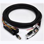 Explosion-Proof Camera Cable Assemblies