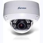 Surveon CAM4371HEM Outdoor Dome Network Camera