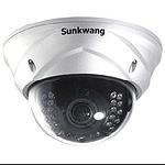SK-V241IRD/M143AI Premium Vandal-proof Dome Camera