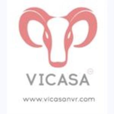 ViCasa Pro Network Video Recorder