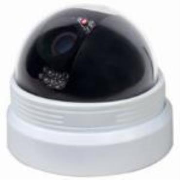 H.264 IR Network Dome Camera