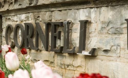 Cornell University selected Genetec to upgrade parking enforcement solution