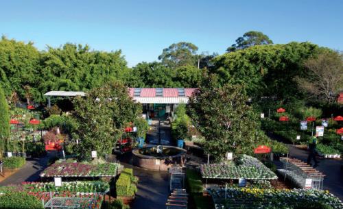 Australian garden store secured by March Networks