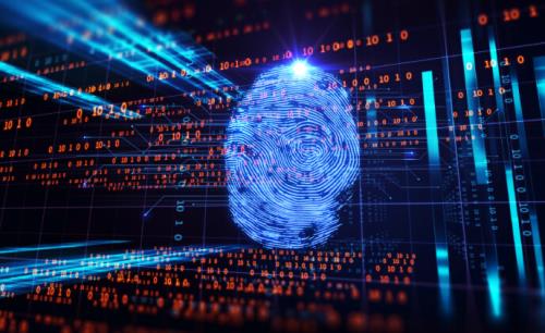 Why biometrics in government sector is set to grow