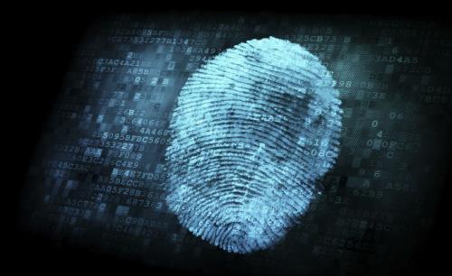Global fingerprint mobile biometrics market to grow at CAGR of 215.49% up to 2019: report