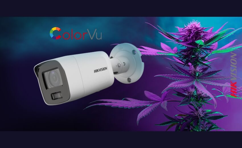 Enhance safety and profitability at cannabis operations with Hikvision