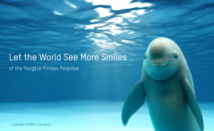Hikvision helps WWF and OPF protecting endangered Yangtze Finless Porpoise