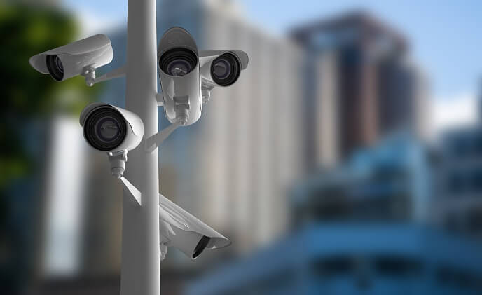 How do professional IP cameras compare with consumer ones?
