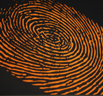 Frost & Sullivan: A Snapshot of Key Behavioral Biometrics