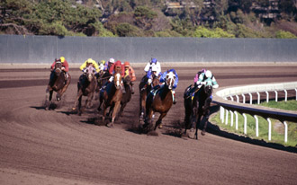 Honeywell Manages Churchill Downs Visitors 