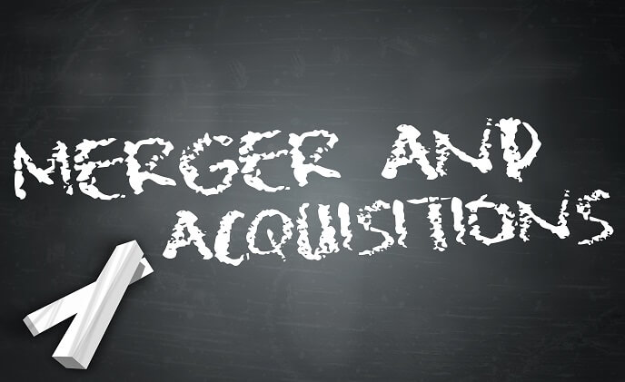 Building the physical security business through merger and acquisition