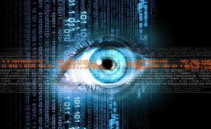 Iris ID iris recognition protects U.S. Private Vaults