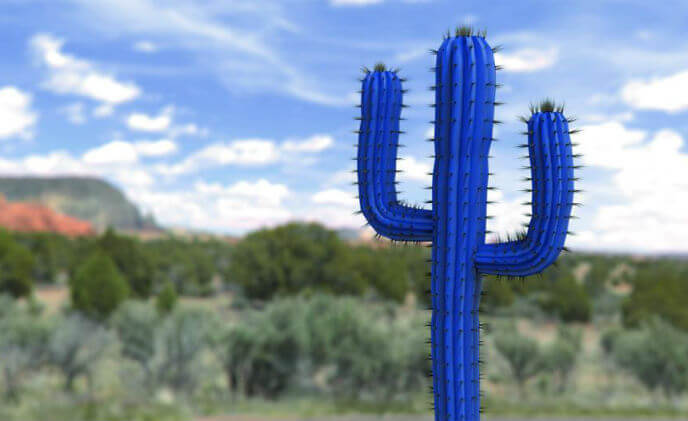 Mobotix launches “Cactus Concept” to focus on cyber security in video surveillance