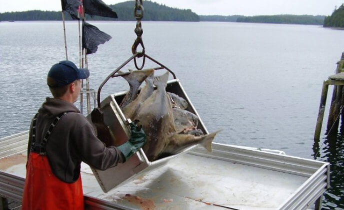 VIVOTEK offers robust electronic monitoring on commercial fishing vessels