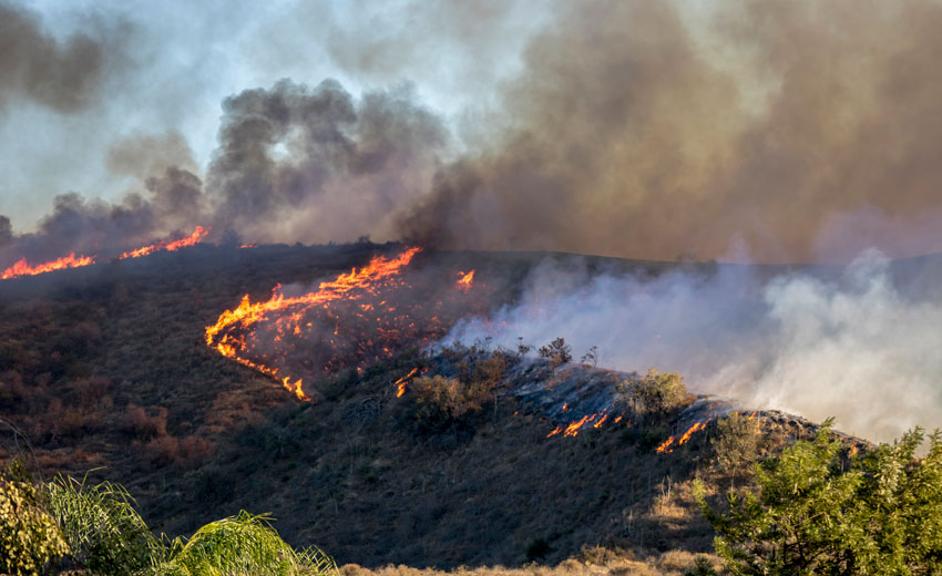 This drone company aims to use drones to fight wildfires