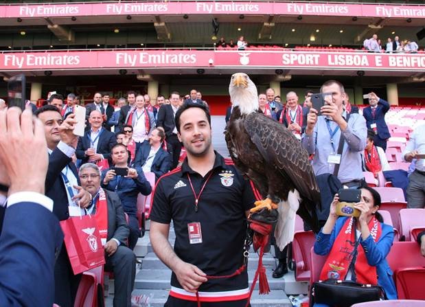 Bosch and Benfica make Estadio da Luz the stadium of the future