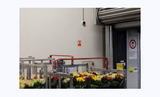Axis Solution Watches over Dutch Flower Group's Transportation of Flowers 