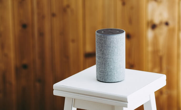 24% of U.S. households own a smart speaker: Nielsen 