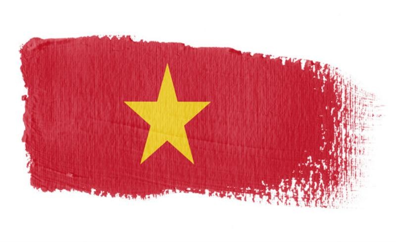 Vietnam: the fastest growing video surveillance market in Southeast Asia