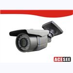 ACESEE security limited