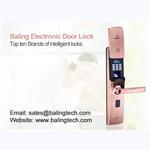reliable electronic fingerprint door lock manufacturer ZF-16S