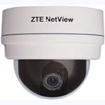 HD IP DOME CAMERA 1080P : ZNNC MP-S250N-3