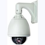 Best Seller 6" Intelligent High Speed Dome Camera D60S