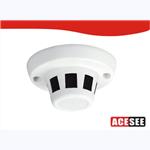 ACESEE security limited