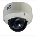 Launch H.264 Vandproof Dome Security Megapixel IP Camera