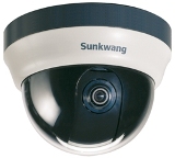 SK-N490 1.3 Megapixel Network Dome camera