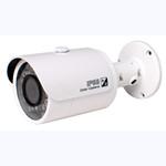 CA-FW191G 800TVL HDIS Day/Night Waterproof IR Camera