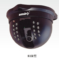 Color IR Dome Camera