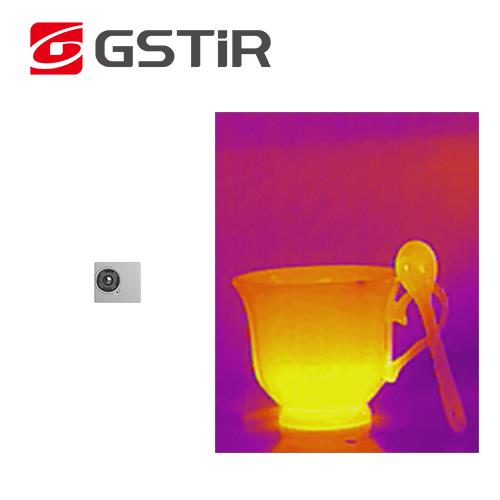 Wuhan Global Sensor Technology (GSTiR)