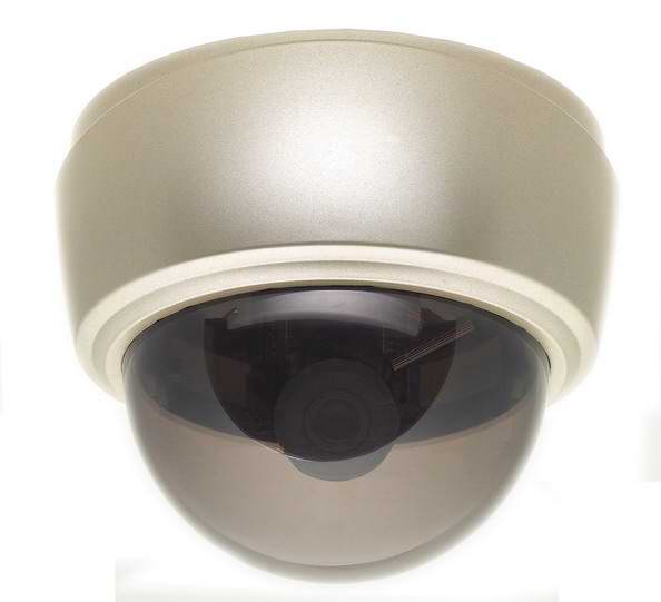 SICA-200H    Mega-pixel H.264 Indoor DOME Internet Camera