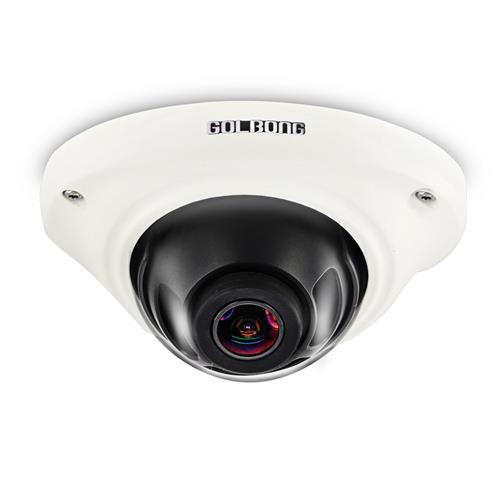 Eye-Level 180 Degree Panoramic Dome IP Camera Ultra Wide Angle