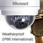 Micronet SP5582A, 1080p HD WDR IR Vandal-Proof Dome IP Camera