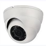 DAR-310CWH-DR (1/3-inch Sony CCD IR Dome Camera, 650TVL, IP66)