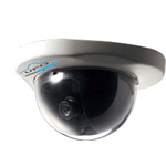 TP-101CW Dome Camera 