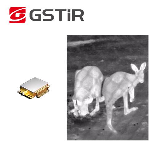 Wuhan Global Sensor Technology (GSTiR)