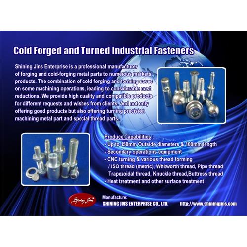 Custom fasteners and rivets - Cold Forged precision metal parts made in Taiwan