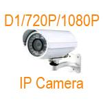 FaceID IP Camera D1/720P/1080P with Audio & Alarm